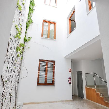 Renthas Vid Loft Apartment Malaga Luaran gambar